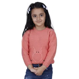 JoE Hazel Full Sleeves Owl Detailed Sweater - Coral Pink-picture-11