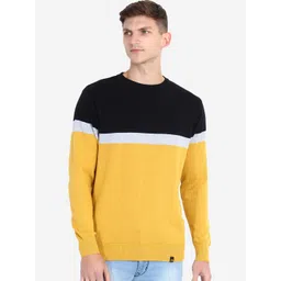JoE Hazel Men Mustard & Black Pure Cotton Colourblocked Pullover-picture-17