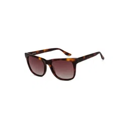 John Jacobs JJ S14668 Pink Polarized Square Sunglasses-picture-16
