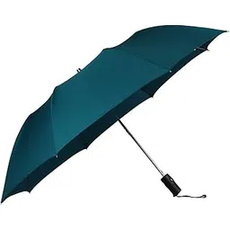 john's Umbrella 2 Fold Auto Jumbo (Seagreen)-picture-34