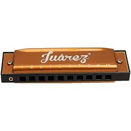 Juarez JRZ10HM/GD Key C Diatonic Blues Harmonica 10 Hole 20 Tones with Case, Mouth Organ for Beginners, Students, Kids & Professionals Gold-picture-30