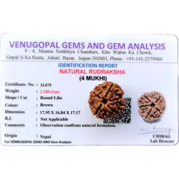 jupiter speaks 4 Mukhi Rudraksha Nepali Lab Certified Natural Four Face Brown Bead Size 18mm Wood Pendant-picture-12