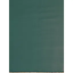 KALINI Beads and Stones Saree image 4