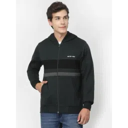 Kalt Dark Green Regular Fit Striped Hooded Sweatshirt-picture-46