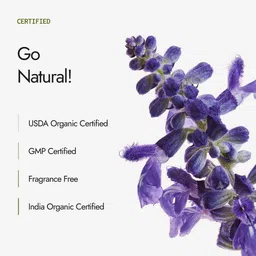Kapiva Hair Rituals Organic Indigo Powder - 100g image 4