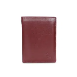 Kara Men Tan Solid Leather Two Fold Wallet-picture-47