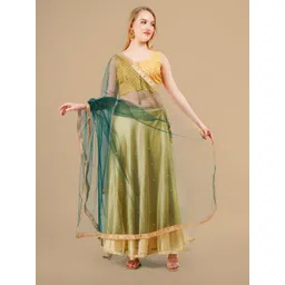 Karthav Fashion Polka Dots Embroidered Dupatta With Sequinned-picture-36