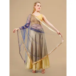 Karthav Fashion Polka Dots Embroidered Dupatta With Sequinned-picture-37