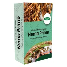 Katyayani Nema Prime 3kg Pochonia Chlamydposporia 1% W P Powder, K-5553-picture-23