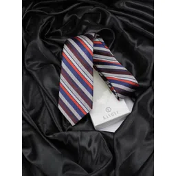 kavove KOVOVE Men Blue & Grey Striped Broad Tie-picture-31