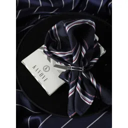 kavove KOVOVE Men Blue & Red Striped Woven-Design Pocket Square-picture-27