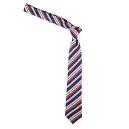 kavove KOVOVE Men Blue & Grey Striped Broad Tie image 5