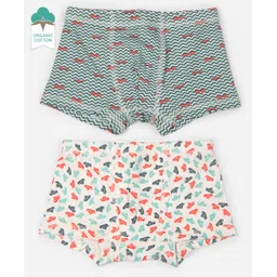 Keebee Organics Pack Of 2 Paper Boats & Waves Organic Cotton Boxer Briefs - Multi Color-picture-13