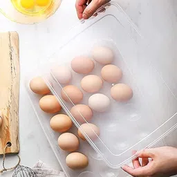 keitsi Single Slot Egg Holder-picture-31