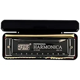 Ketostics JDR Key C Diatonic Blues Harmonica 10 Hole 20 Tones with Case, Mouth Organ for Beginners, Students, Kids & Professionals-image-3