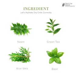 Khadi Natural Neem Teatree & Basil Hair Oil Anti Dandruff Paraben & Mineral Oil Free image 3