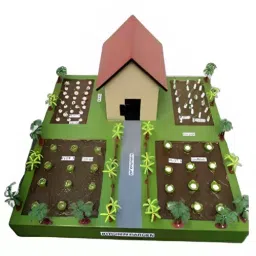 Khanna Traders 22x20x15 inch Wooden Kitchen Garden Model-picture-10