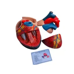 Khanna Traders Jumboo Heart PVC, Fiber, Silicone Material-picture-30