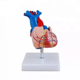 Khanna Traders Mini Jumboo Heart PVC, Fiber, Silicone Material-picture-20