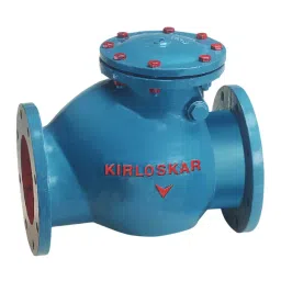 Kirloskar Non Return Valve Cast Iron 100 mm (4 inch) PN-1.6-picture-10