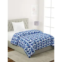 Klotthe Blue & White Cotton Single Dohar-picture-42