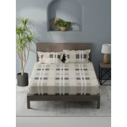 KOPA Coolmax Cotton Feel Beige Microfibre Checks 152 TC Double Flat Bedsheet with 2 Pillow Covers-picture-36