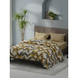KOPA Coolmax Cotton Feel Mustatrd Grey Microfibre Geometric Double Comforter-picture-12