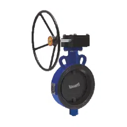 Kranti 12 inch, 300 mm SG Iron Gear Operated Butterfly Valve, PV-403H-picture-32