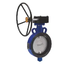 Kranti 6 inch, 150 mm SG Iron Gear Operated Butterfly Valve, PV-403L-picture-44