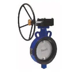 Kranti 8 inch, 200 mm Cast Iron Gear Operated Butterfly Valve, PV-403F-picture-14