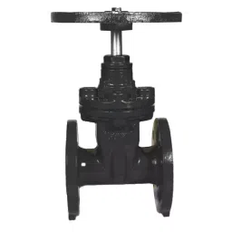Kranti 8 inch, 200 mm Ductile Iron Resilient Seated Gate Valve, PV-416-picture-30