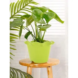 Kuber Industries 2 Pcs  Flower Pot With Drain Holes-picture-39