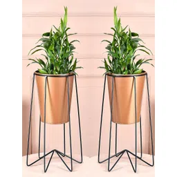 Kuber Industries 2 Pcs Planter Stand With Bucket Planter-image-13