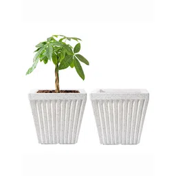 Kuber Industries 2Pcs White Textured Roto Mould Pihu Splash Flower Planters-picture-37