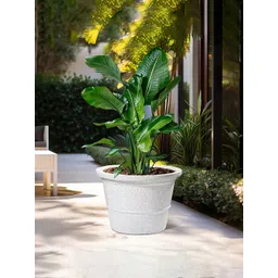 Kuber Industries 2Pcs White Textured Roto Mould Victoria Flower Planters-picture-10