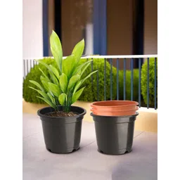 Kuber Industries 4-Pcs Black & Orange-Colored Round Planters-picture-36