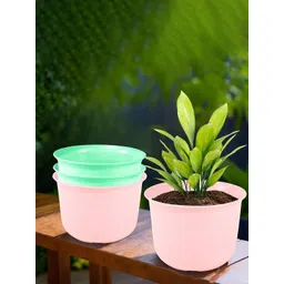 Kuber Industries 4-Pcs Green & Pink Durable Planter with Plate-picture-37