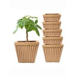 Kuber Industries 6Pcs Brown Textured Roto MouldPihu Splash Flower Planters-picture-12