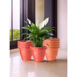 Kuber Industries 8Pc Red & Orange Colored Light Weight Planters-picture-14