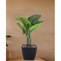 kuber industries Artificial Plant with Pot-picture-13