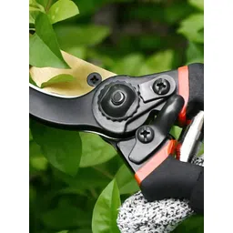 Kuber Industries Black & Gold-Toned Stainless Steel Heavy Duty Gardening Shear-picture-51