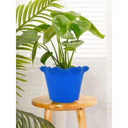 Kuber Industries Blue 3 Pcs Blossom Planters-picture-20