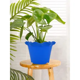 Kuber Industries Blue 5 Pcs Blossom Planters-picture-29