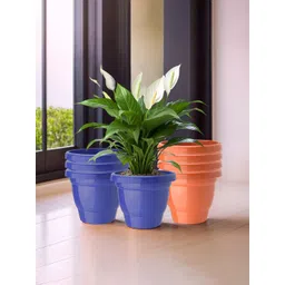 Kuber Industries Blue & Orange-Coloured Set Of 8 Plastic 2-Layer Planters-picture-34
