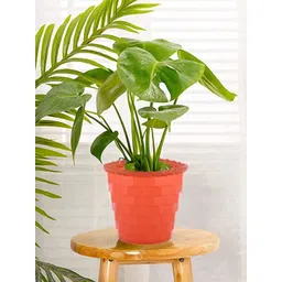 Kuber Industries Brown Brick Textured Plastic Planter-picture-44