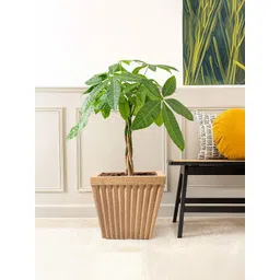 Kuber Industries Brown Textured Roto Mould Pihu Splash Flower Planters-picture-26