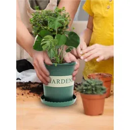 Kuber Industries Green Plant Pot With Tray-picture-14