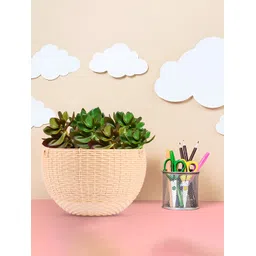Kuber Industries Marble Euro 6 Pieces Beige & Pink Textured UV-Protected Hanging Planters-image-40