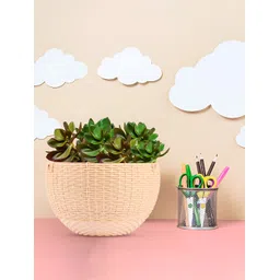 Kuber Industries Marble Euro Beige 5 Pieces Textured Hanging Planters-image-17