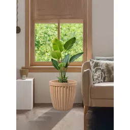 Kuber Industries Marble Pihu Neo Brown 2 Pcs Textured Roto Mould Pihu Neo Flower Planters-picture-29